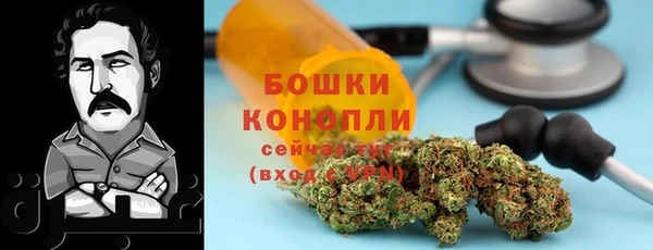 гидра Майский