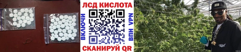 купить закладку  Строитель  Лсд 25 экстази ecstasy 