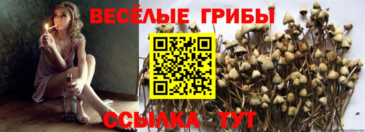 Строитель  Галлюциногенные грибы мицелий  Вход с VPN  Псилоцибиновые грибы Psilocybine cubensis 