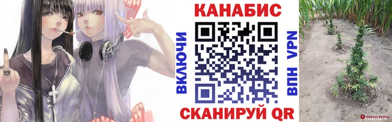 Бошки Шишки семена ссылка на мегу маркетплейс Строитель